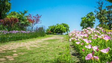 фирма зелен рай озеленяване ландшафт