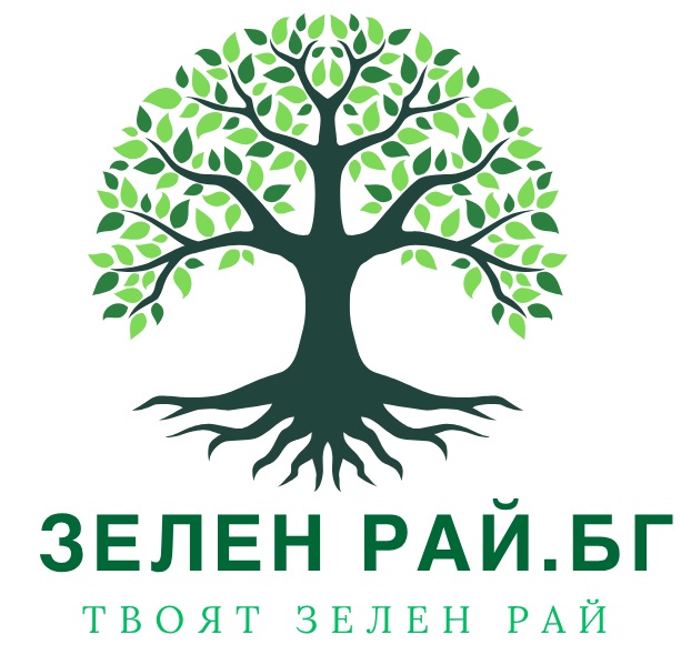 ЗЕЛЕН РАЙ БГ ЕООД